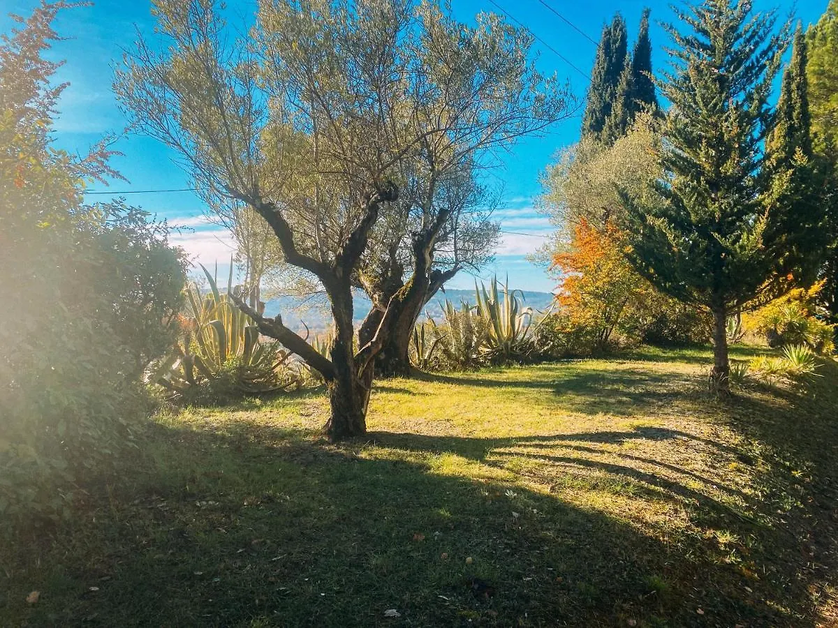 Ferienhaus Les Lodges De Saint Cassien Montauroux Frankreich
