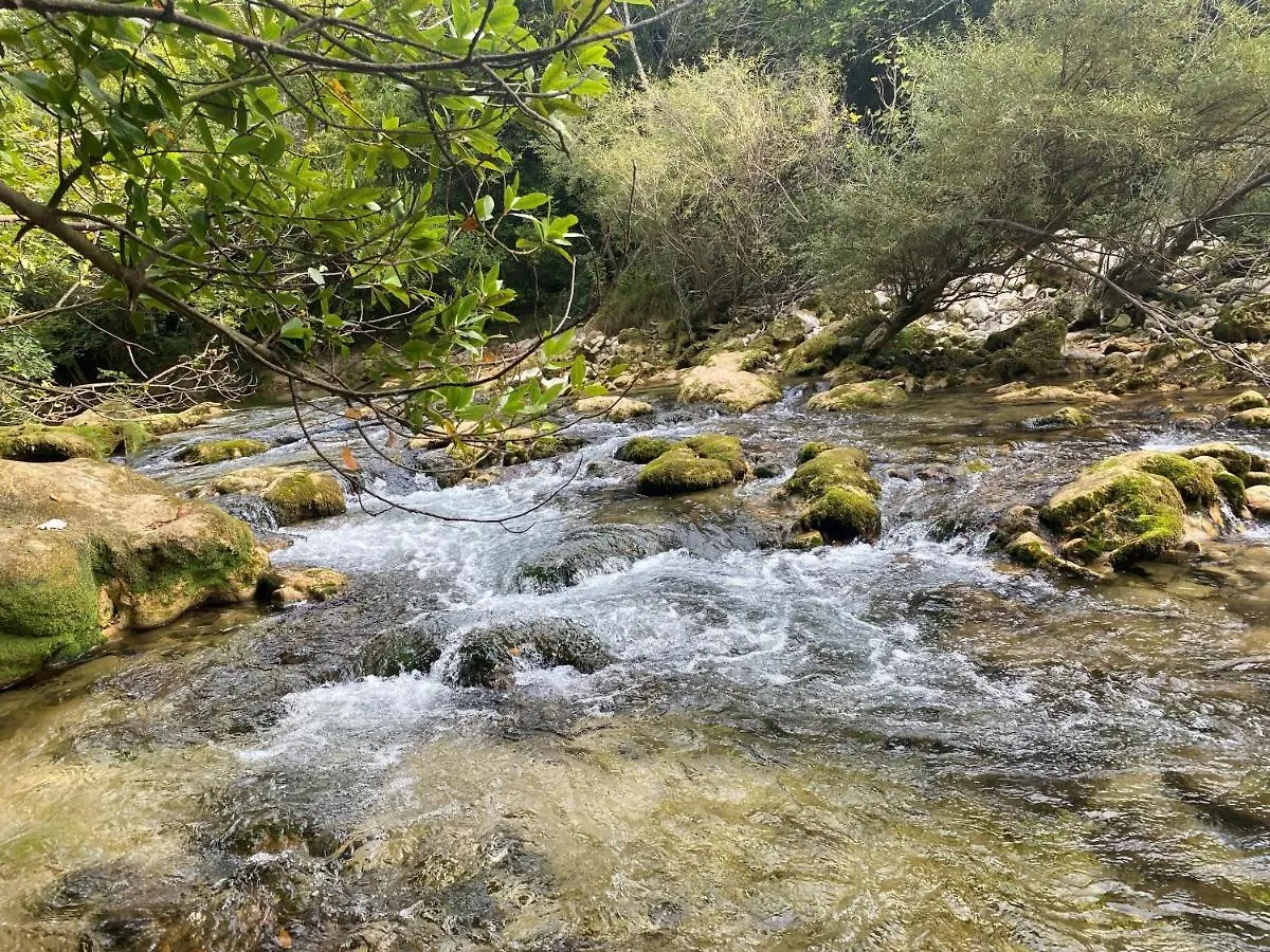 Les Lodges De Saint Cassien Montauroux
